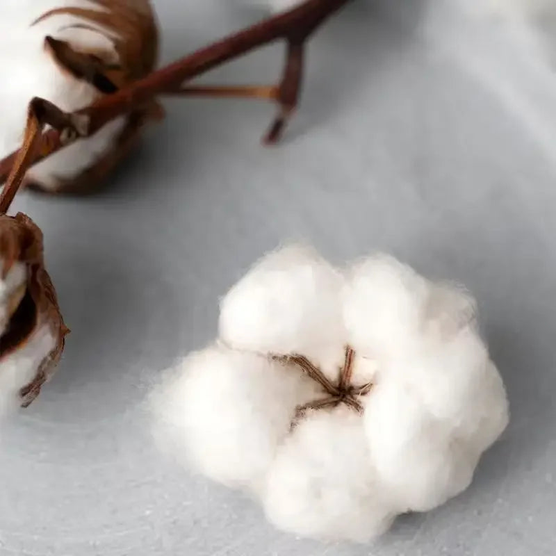 تيشيرتات برسومات عصرية مستوحاة من مغني الراب الفرنسي فوت جول، للرجال والنساء، بتصميم هيب هوب، بأكمام قصيرة، وقصة واسعة، مناسبة للارتداء اليومي، وملابس الشارع.