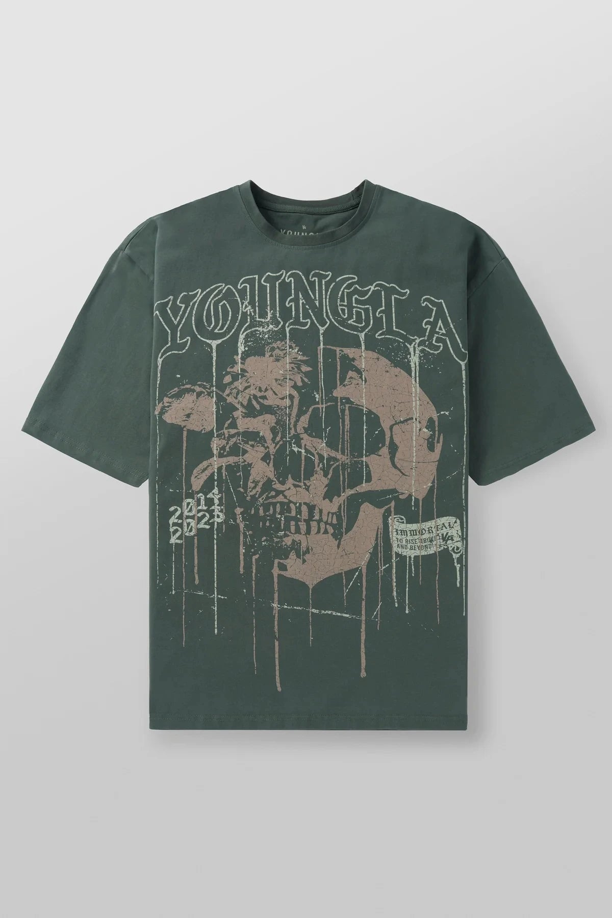 تيشيرت رجالي قطني 100%، بياقة دائرية، ناعم ومريح وجيد التهوية، بقصة كلاسيكية، مناسب للارتداء اليومي، خفيف الوزن.